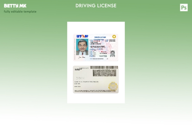 Модерен стил на сегашната верзија на шаблонот за возачка дозвола од САД Јута